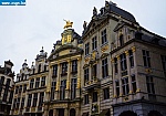 _DSC1884.JPG