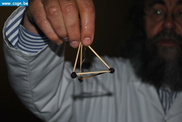 DSC_0950.JPG