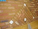 DSC06503.JPG