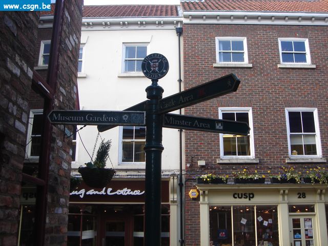 york004.jpg