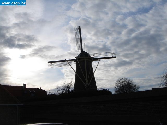 york062.JPG