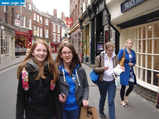 york071.JPG