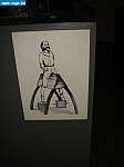 york041.JPG