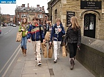 york072.JPG