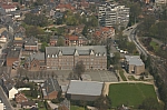 IMG_1594.jpg