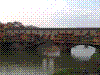 HPIM0555.JPG