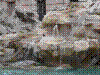 DSC01752.JPG