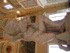 DSCN2438.JPG