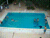 HPIM0769.JPG