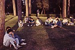 Scan10020.JPG