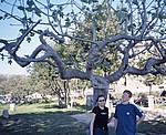 Scan10033.jpg