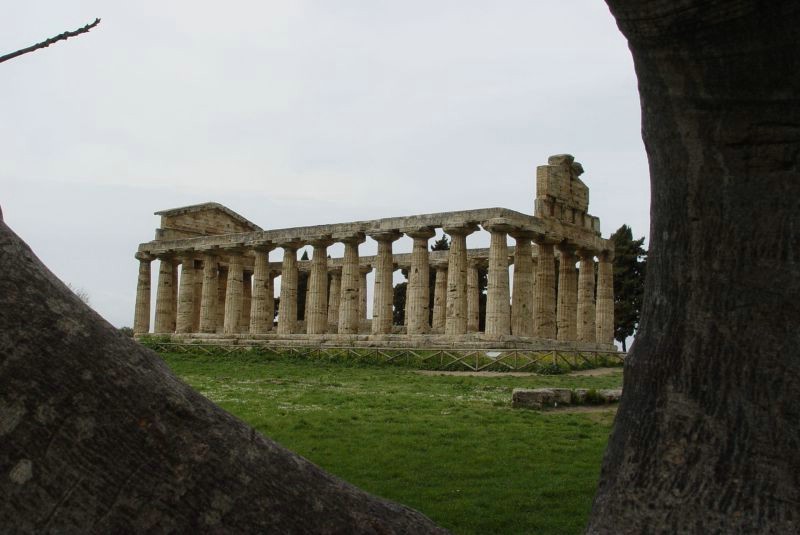 295sud.jpg