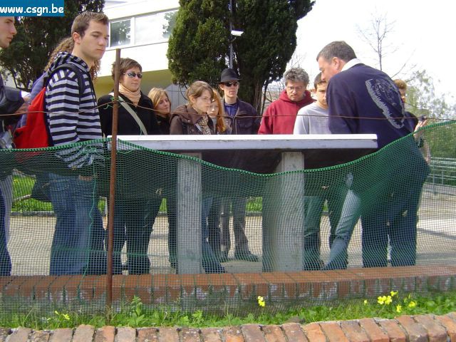 DSC02989.JPG