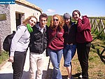 STP63942.JPG