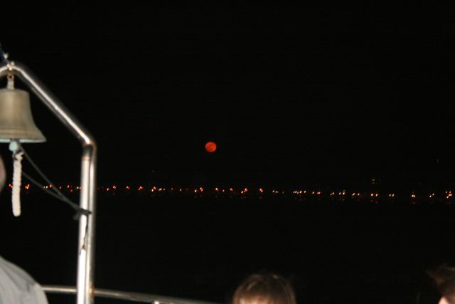 Photo 177.jpg