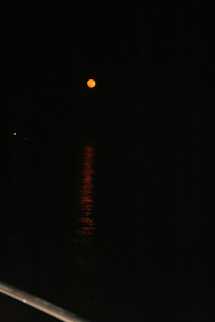 Photo 180.jpg