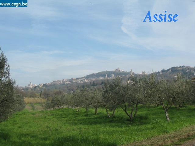 F Assises-0000.JPG