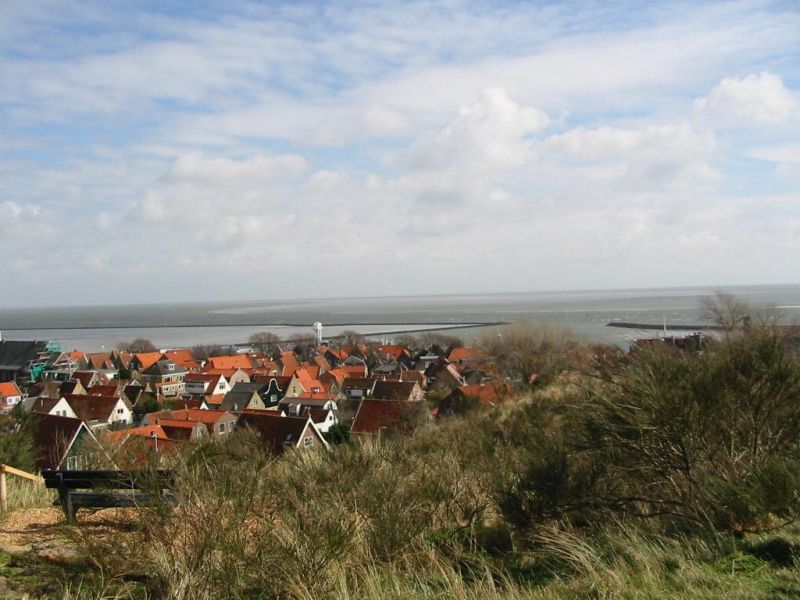 126-2635_IMG.JPG