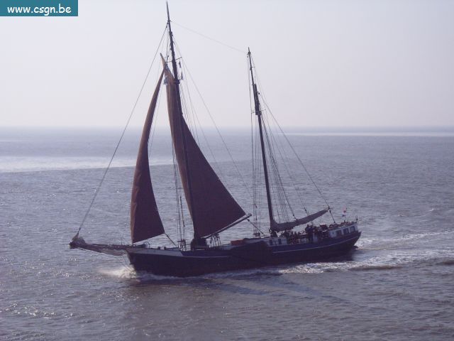 RIMG0051.JPG
