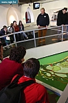 IMG_8074.JPG