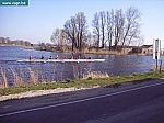 RIMG0012.JPG