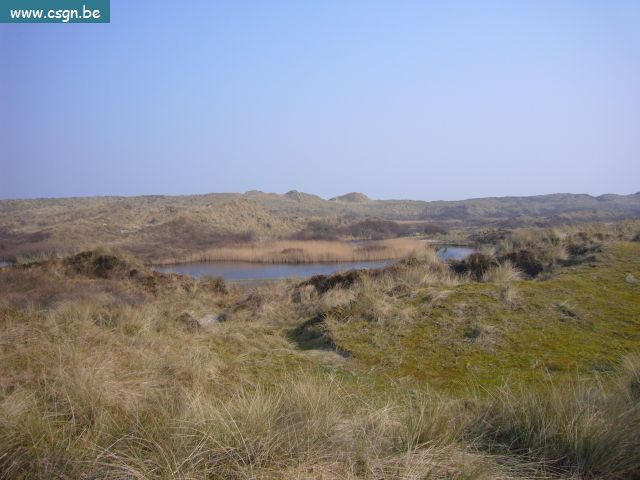 P1000366.JPG