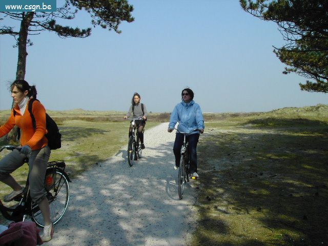 PICT4357.JPG