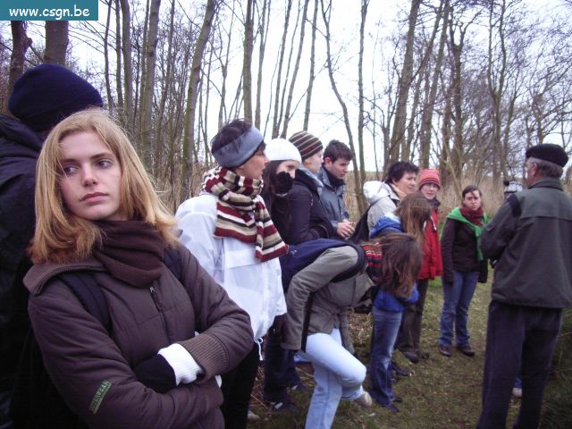 RIMG0237.JPG