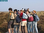 IMG_0859.JPG