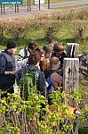 IMG_8191.JPG
