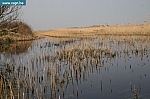 IMG_8208.JPG
