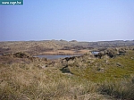 P1000366.JPG