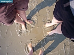 P1000371.JPG
