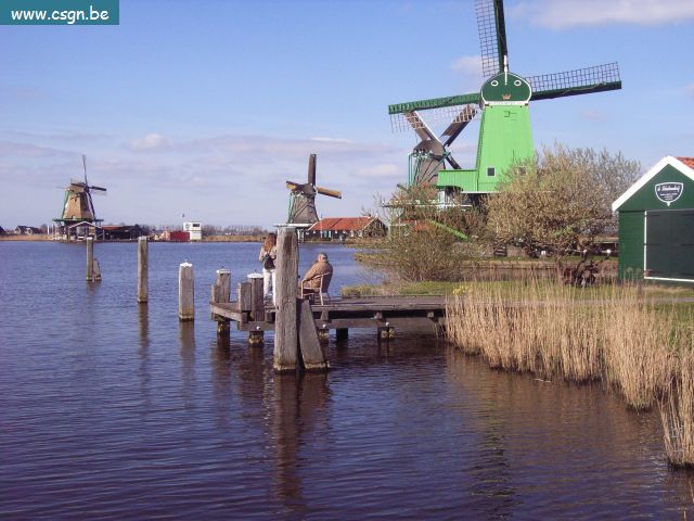 RIMG0331.JPG