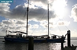 IMG_8420.JPG