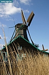 IMG_8447.JPG
