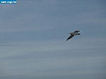 P1000085.JPG