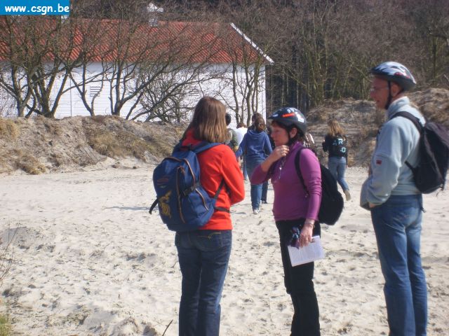 STP63135.JPG