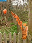 STP63147.JPG