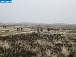 IMG_0094.jpg