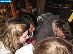 IMG_0131.jpg