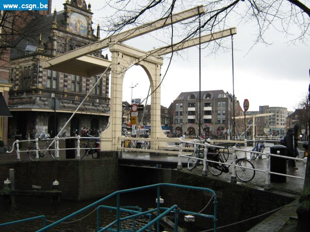 IMG_0146.jpg