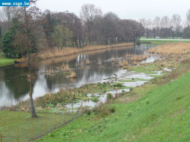 tersch01022.JPG