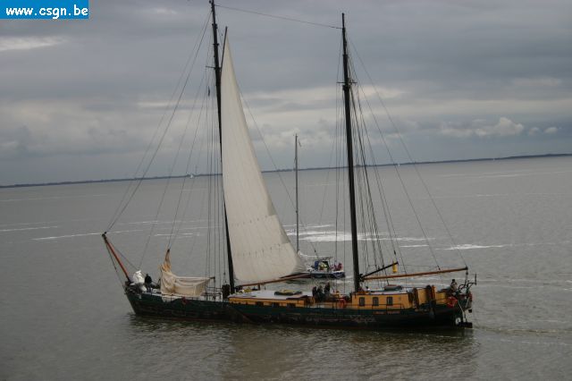 tersch01041.JPG