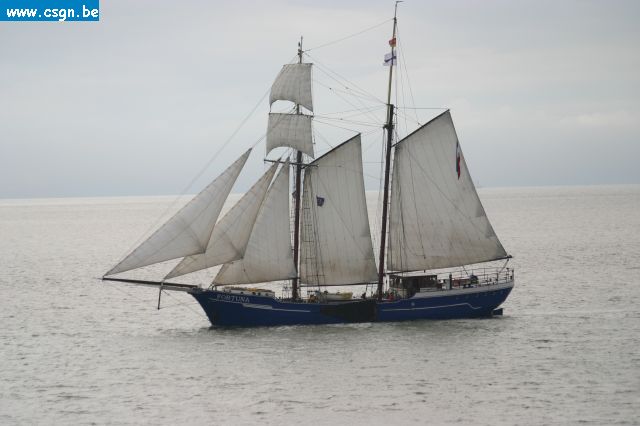tersch01042.JPG