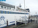 tersch01029.JPG