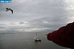 tersch01039.JPG