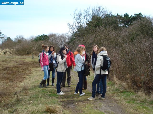 tersch02006.JPG