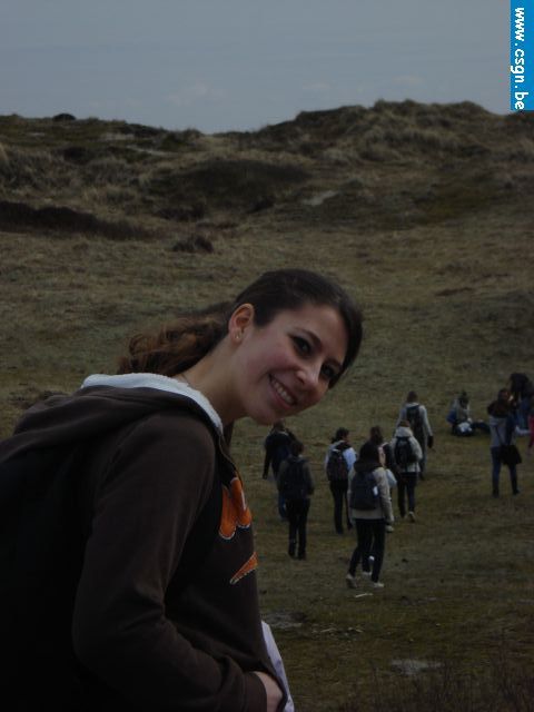 tersch02008.JPG