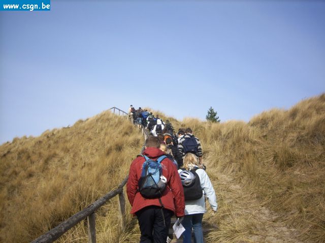 tersch02016.JPG